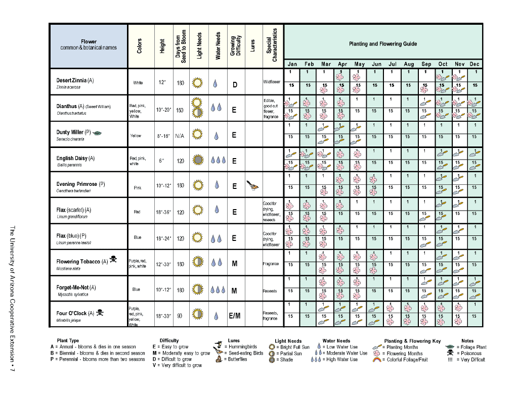 Flower planting calendar07